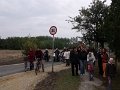 5 út + főtér átadó 046